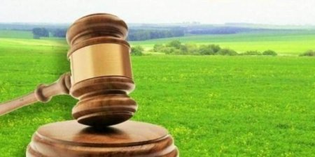 До уваги бізнесу: земельні аукціони в Івано-Франківській громаді