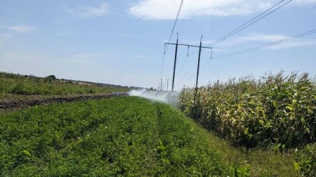 У громаді активізувалися палії трави!