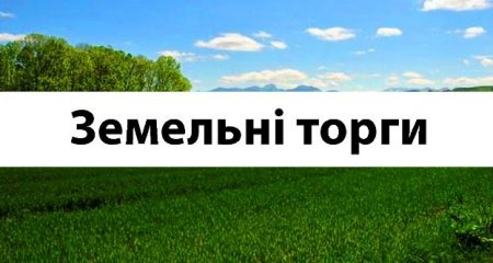 До уваги представників бізнесу: земельні торги ділянки в Хриплинській промзоні