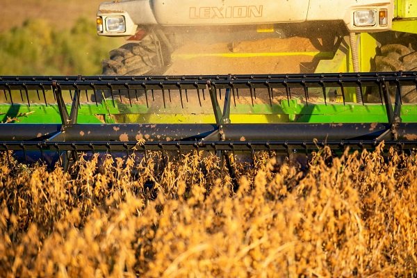 У Івано-Франківській громаді збирають врожай сої