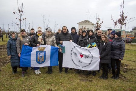 В Івано-Франківській громаді з’явився дубовий гай