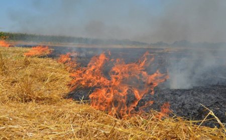 Безвідповідальні мешканці Івано-Франківської громади розпочали «спалювальний сезон»