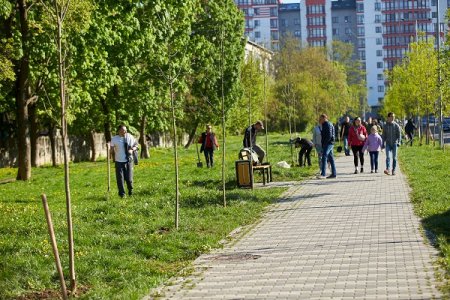Велике прибирання і озеленення