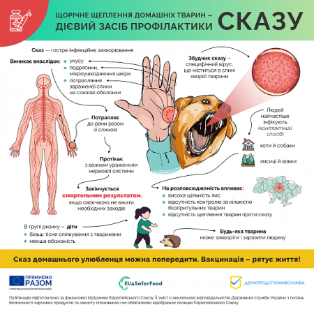 Сказ: що варто знати