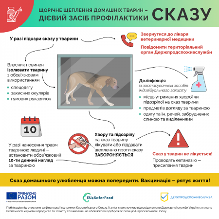 Є підозра, що тварина захворіла на сказ – телефонуйте до Держпродспоживслужби
