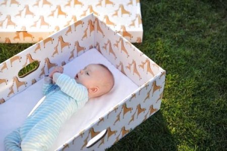 Видача дитячих наборів «Baby-box»  для новонароджених дітей окремих категорій сімей.