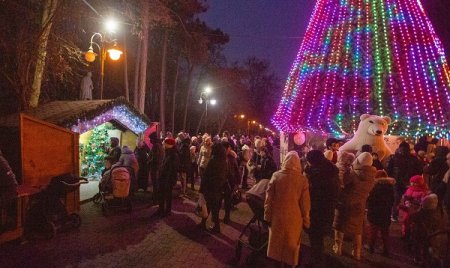 Відкриття головної ялинки міста
