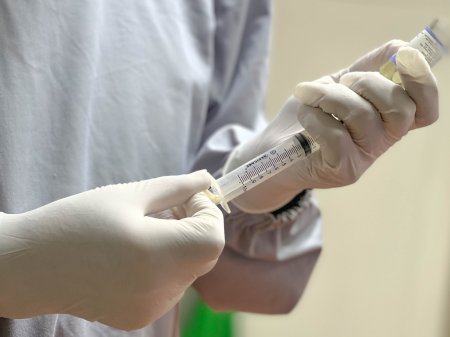 Пільгові категорії мешканців Івано-Франківська можуть безкоштовно стерилізувати домашніх собак
