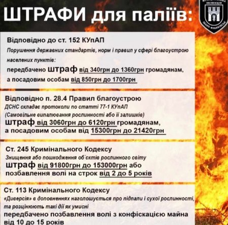 Безвідповідальні мешканці громади продовжують спалювати суху траву