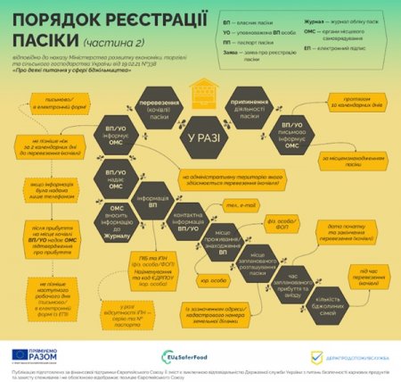 Реєстрація пасіки – спосіб вберегти бджіл від отруєння засобами захисту рослин 
