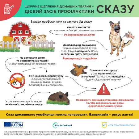 Як уберегти свого улюбленця від сказу